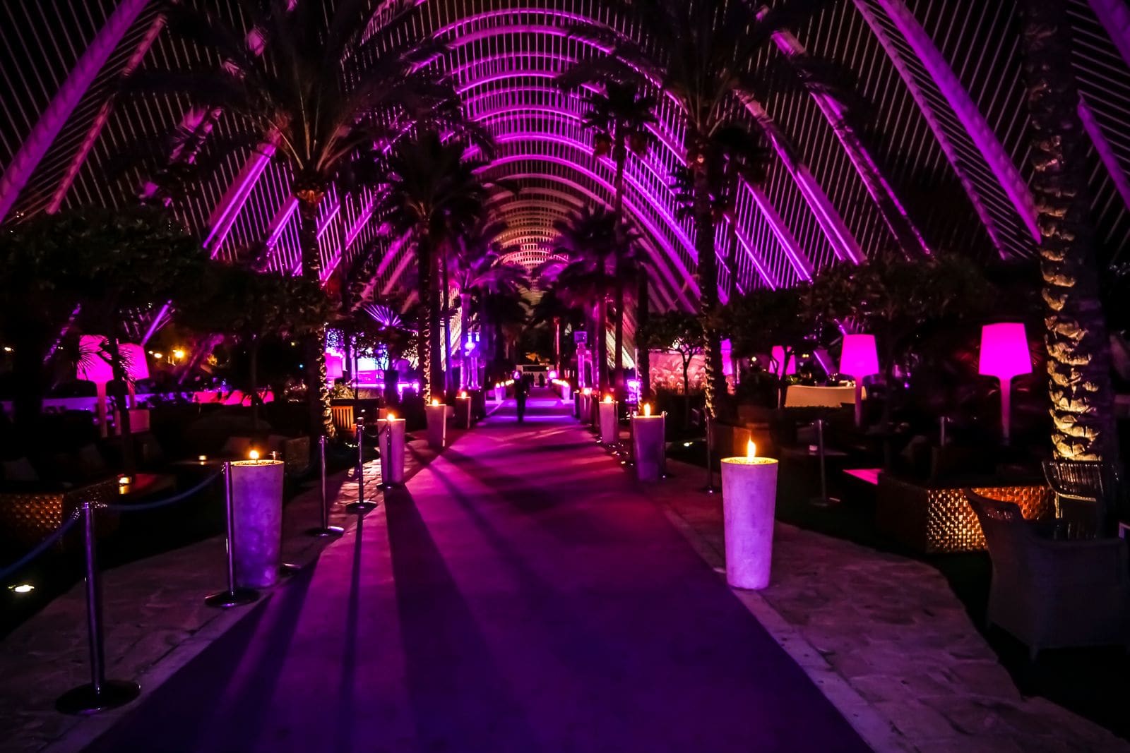 L'Umbracle Terraza — foto 1