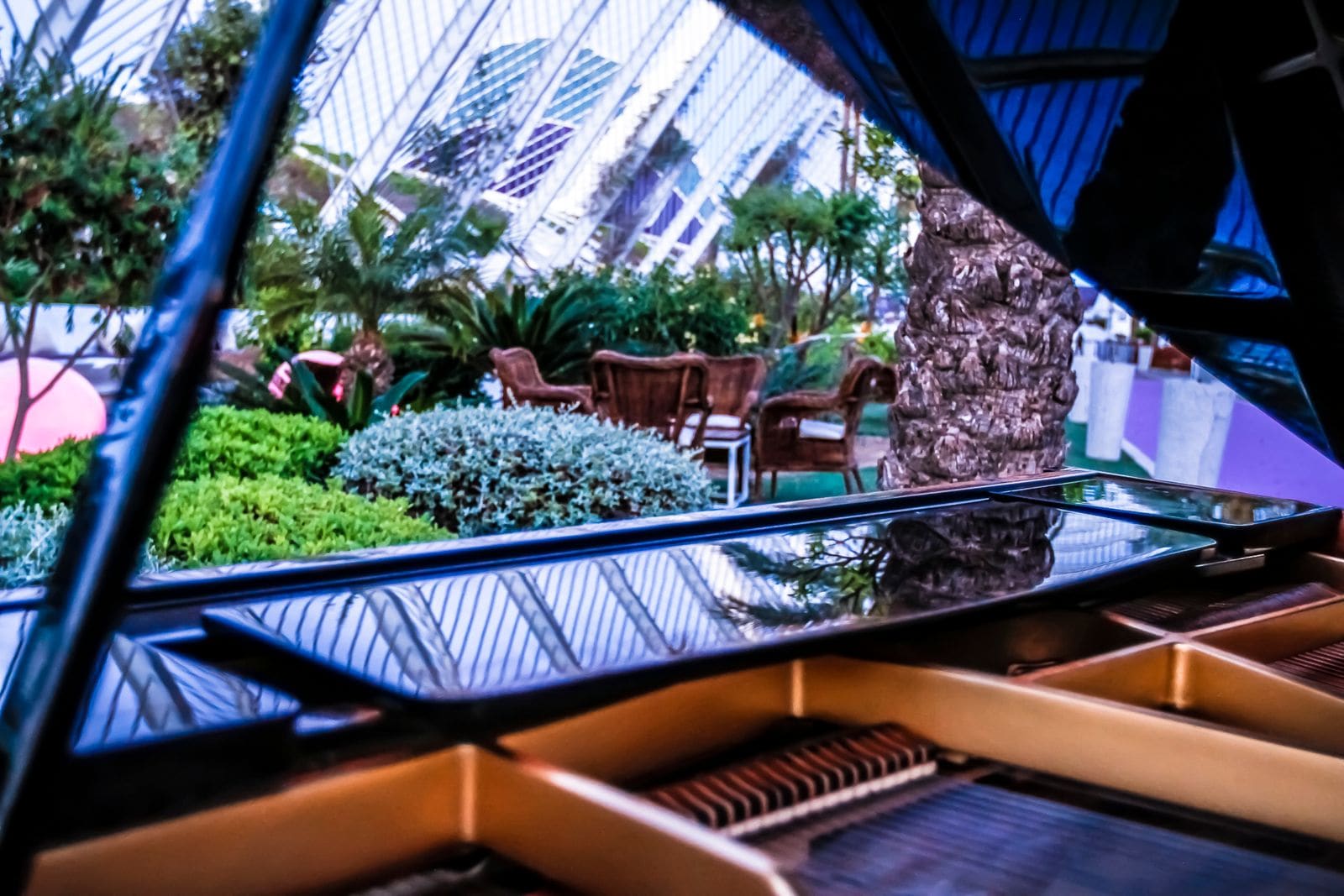 L'Umbracle Terraza — foto 3